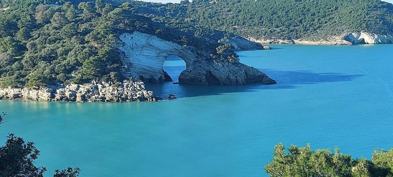 La Perla Del Gargano Home Βιέστε Εξωτερικό φωτογραφία